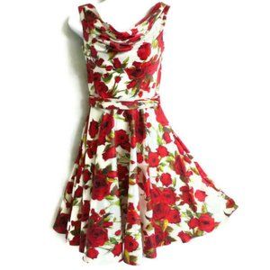 Unique Vintage 50s Swing Pinup Dress Brooch Cowl Roses Fit & Flare Red White XS